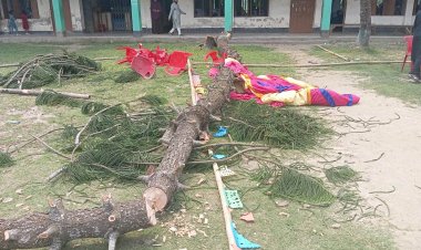 বুড়িচংয়ে এসএসসি পরীক্ষার্থীদের বিদায় অনুষ্ঠানে গাছ উপড়ে পরে তিন শিক্ষার্থী আহত 