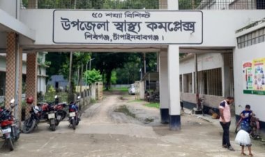 Elderly man dies, 10 injured after being bitten by a Bhimrul in Shibganj
