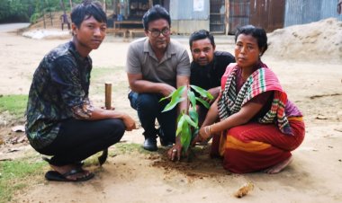 বিশ্ব পৃথিবী দিবসে শেরপুর পাহাড়ি অঞ্চলে ১০ হাজার গাছের চারা রোপণ 