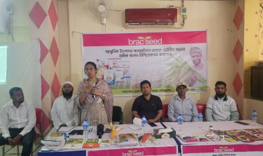 রাজশাহিতে ধানের অধিক ফলন নিশ্চিতকরণ শীর্ষক কর্মশালা 