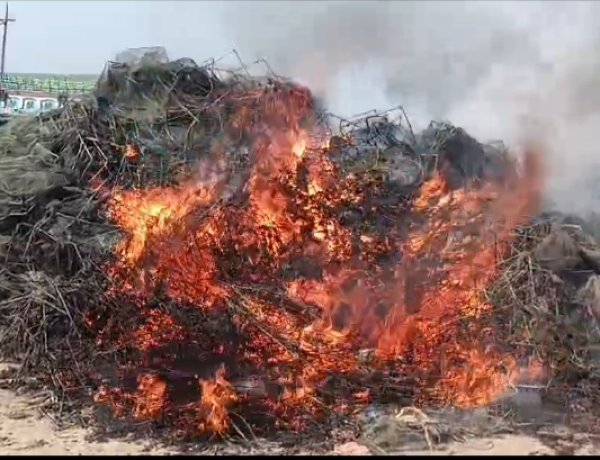 নাসিরনগরে ১০ লক্ষ টাকার অবৈধ রিং ও কারেন্ট জাল পুরিয়ে বিনষ্ট 
