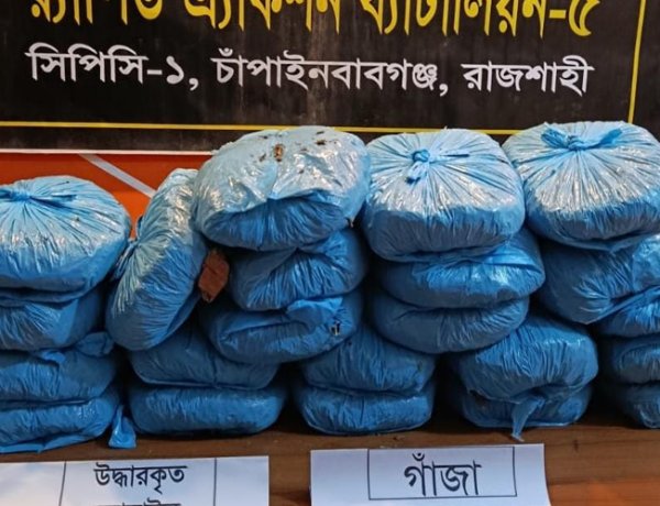 চাঁপাইনবাবগঞ্জে কুরিয়ারে গাঁজা পাচারের সময় একজন আটক