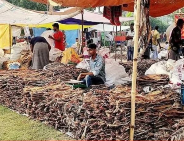 নাসিরনগরে ঐতিহ্যবাহী শুঁটকি মেলা