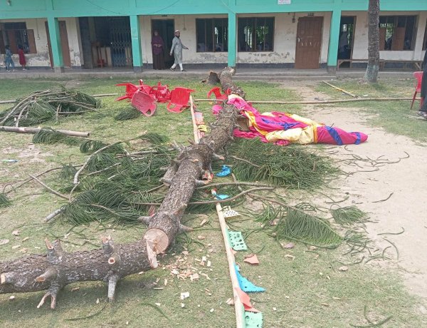বুড়িচংয়ে এসএসসি পরীক্ষার্থীদের বিদায় অনুষ্ঠানে গাছ উপড়ে পরে তিন শিক্ষার্থী আহত 