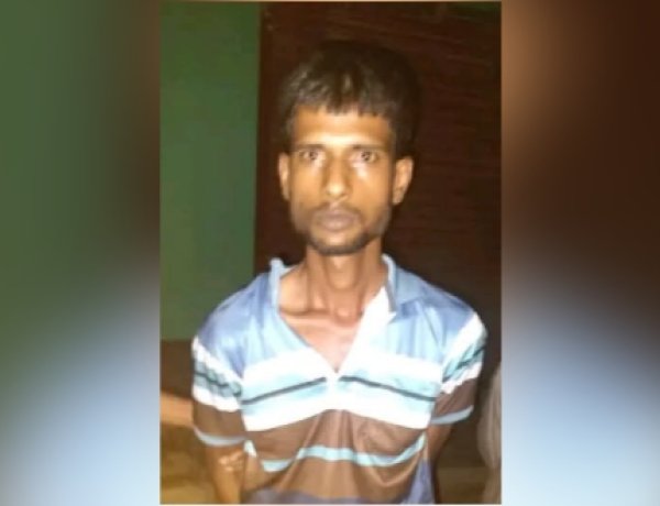 নিয়ামতপুরে মাদকসহ মাদক ব্যবসায়ী গ্রেপ্তার