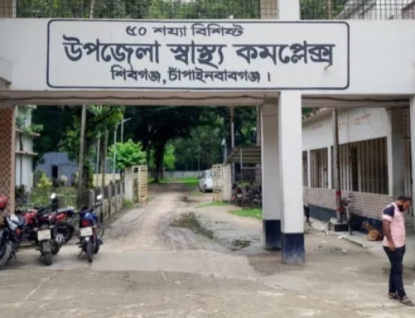 শিবগঞ্জে ভিমরুলের কামড়ে বৃদ্ধের মৃত্যু,আহত-১০