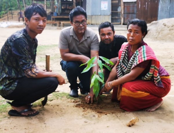 বিশ্ব পৃথিবী দিবসে শেরপুর পাহাড়ি অঞ্চলে ১০ হাজার গাছের চারা রোপণ 