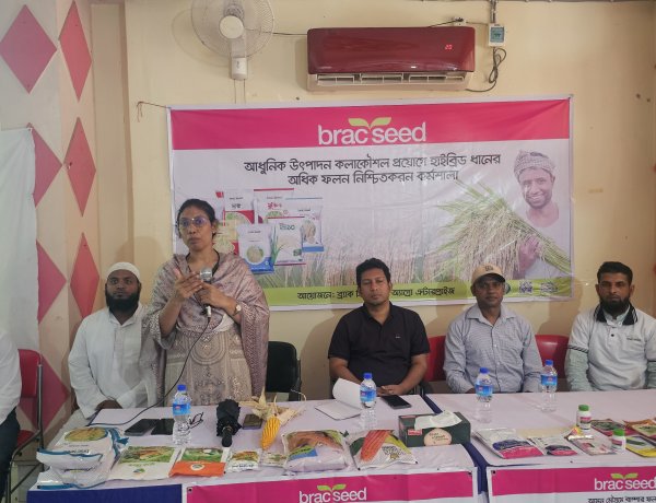 রাজশাহিতে ধানের অধিক ফলন নিশ্চিতকরণ শীর্ষক কর্মশালা 