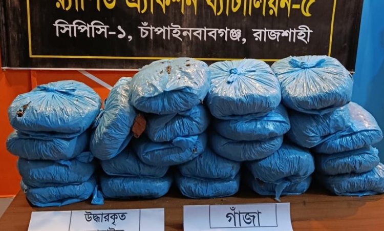 চাঁপাইনবাবগঞ্জে কুরিয়ারে গাঁজা পাচারের সময় একজন আটক