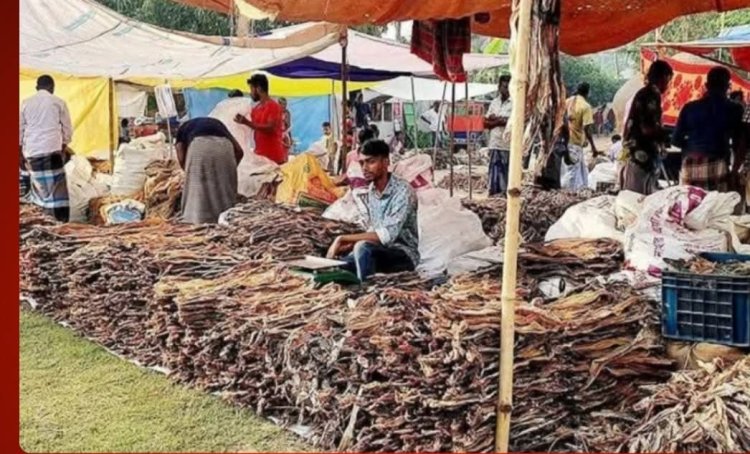 নাসিরনগরে ঐতিহ্যবাহী শুঁটকি মেলা