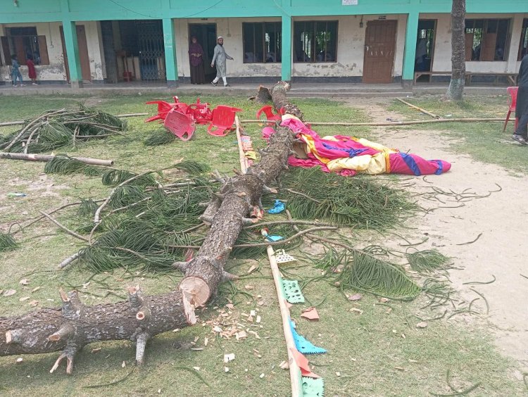 বুড়িচংয়ে এসএসসি পরীক্ষার্থীদের বিদায় অনুষ্ঠানে গাছ উপড়ে পরে তিন শিক্ষার্থী আহত 