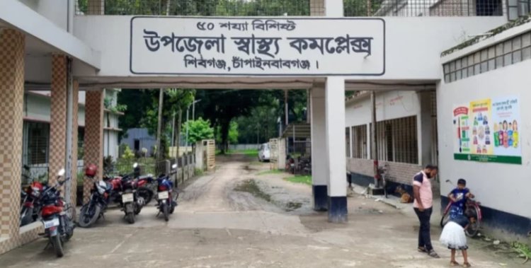 শিবগঞ্জে ভিমরুলের কামড়ে বৃদ্ধের মৃত্যু,আহত-১০