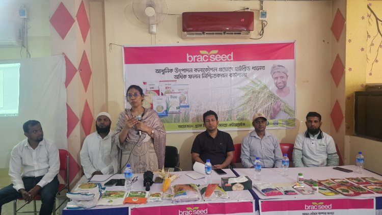 রাজশাহিতে ধানের অধিক ফলন নিশ্চিতকরণ শীর্ষক কর্মশালা 