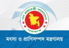 ‘ভারত থেকে গরু আমদানির অনুমতিপত্র’প্রচার,মন্ত্রণালয়ের জরুরি সকর্তবার্তা
