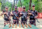 শিবগঞ্জ সীমান্তে ভারতীয় মদ জব্দ