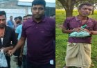নিয়ামতপুরে পৃথক অভিযানে গাঁজাসহ দুইজন গ্রেফতার
