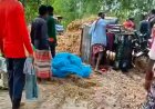 নিয়ামতপুরে ধানবাহী ট্রলি উল্টে চালকের মৃত্যু