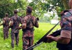 চাঁপাইনবাবগঞ্জ সীমান্তে পুশ-ইন ঠেকাতে ৫৩ বিজিবির সর্বোচ্চ সতর্কতা