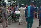 শেরপুরে বাসের ধাক্কায় ট্রাক্টর চালক নিহত