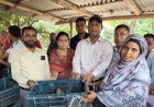 ব্র্যাকের উদ্যোগে হতদরিদ্রদের মাঝে হাঁসের বাচ্চা বিতরণ