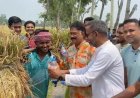 বদলগাছীতে বৃক্ষরোপণ কর্মসূচি ও খাবার-স্যালাইন বিতরণ