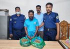 দশমিনায় গাঁজাসহ মাদক ব্যবসায়ী আটক