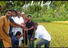 নওগাঁর বদলগাছীতে প্রায় ৫ কিলোমিটার বৃক্ষরোপণ কর্মসূচি