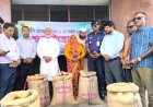 নিয়ামতপুরে অভ্যন্তরীণ ধান-চাল ও গম সংগ্রহের উদ্বোধন