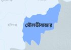 এক শিশুকে বলাৎকারের পর ভারতে পাচারের চেষ্টা, আটক ১