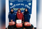 কুড়িগ্রামে গাঁজাসহ নারী আটক