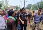 নিবিঘ্নে চলছে গরু-ছাগলের হাটে বেচা-কেন- র‌্যাব কমান্ডারের পরির্দশন
