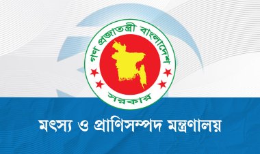 ‘ভারত থেকে গরু আমদানির অনুমতিপত্র’প্রচার,মন্ত্রণালয়ের জরুরি সকর্তবার্তা