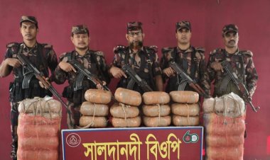 কুমিল্লা সীমান্তে বিপুল পরিমাণ গাঁজা জব্দ