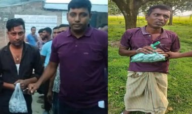 নিয়ামতপুরে পৃথক অভিযানে গাঁজাসহ দুইজন গ্রেফতার
