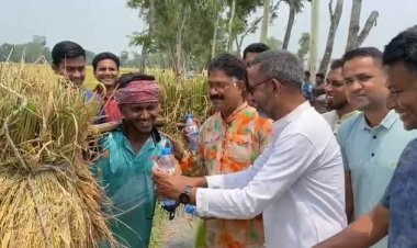 বদলগাছীতে বৃক্ষরোপণ কর্মসূচি ও খাবার-স্যালাইন বিতরণ