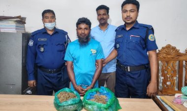 দশমিনায় গাঁজাসহ মাদক ব্যবসায়ী আটক