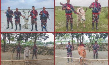 চাঁপাইনবাবগঞ্জ সীমান্তে ভারতীয় ৪টি গরু জব্দ