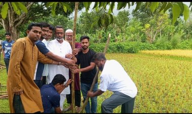 নওগাঁর বদলগাছীতে প্রায় ৫ কিলোমিটার বৃক্ষরোপণ কর্মসূচি
