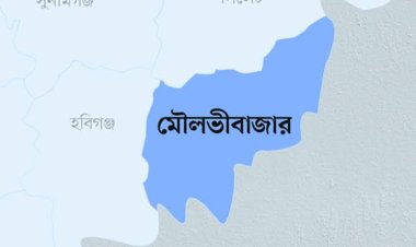 এক শিশুকে বলাৎকারের পর ভারতে পাচারের চেষ্টা, আটক ১