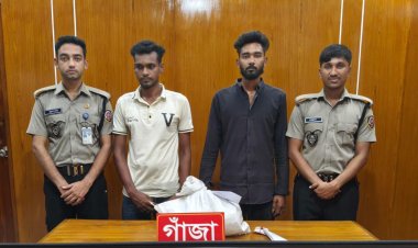 চাঁপাইনবাবগঞ্জে গাঁজাসহ দুই যুবক গ্রেফতার