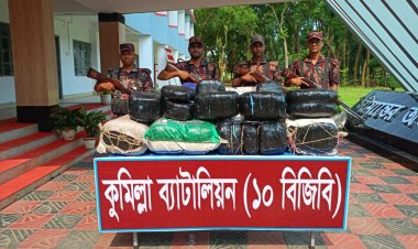 কুমিল্লায় বিজিবির অভিযানে বিপুল পরিমাণ ভারতীয় গাঁজা উদ্ধার