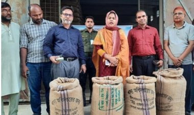 নাসিরনগরে বোরো ধান সংগ্রহের উদ্বোধন 