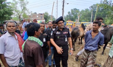 নিবিঘ্নে চলছে গরু-ছাগলের হাটে বেচা-কেন- র‌্যাব কমান্ডারের পরির্দশন