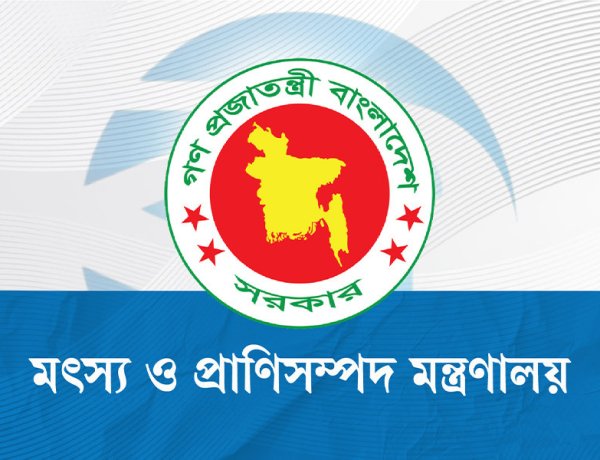‘ভারত থেকে গরু আমদানির অনুমতিপত্র’প্রচার,মন্ত্রণালয়ের জরুরি সকর্তবার্তা