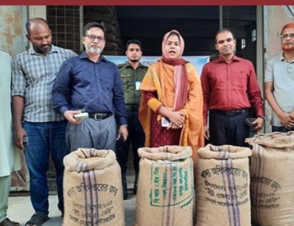 নাসিরনগরে বোরো ধান সংগ্রহের উদ্বোধন 