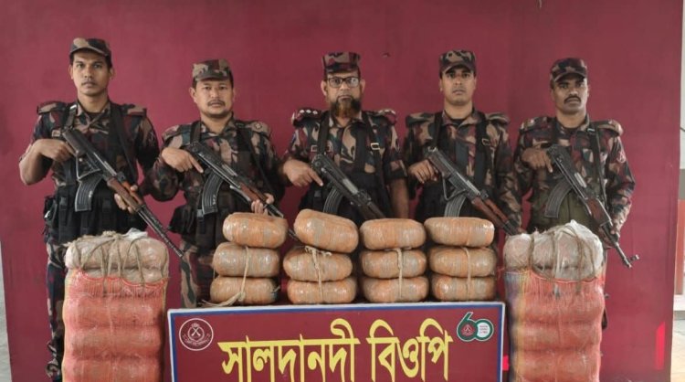 কুমিল্লা সীমান্তে বিপুল পরিমাণ গাঁজা জব্দ
