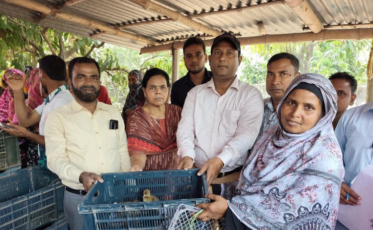 ব্র্যাকের উদ্যোগে হতদরিদ্রদের মাঝে হাঁসের বাচ্চা বিতরণ
