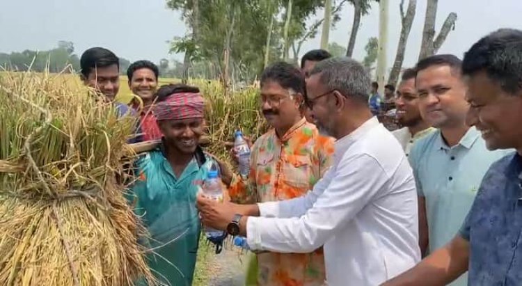বদলগাছীতে বৃক্ষরোপণ কর্মসূচি ও খাবার-স্যালাইন বিতরণ