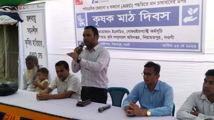 নিয়ামতপুরে AWD পদ্ধতিতে ধান চাষাবাদের উপর কৃষক মাঠ দিবস 