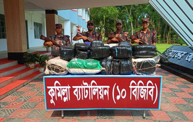 কুমিল্লায় বিজিবির অভিযানে বিপুল পরিমাণ ভারতীয় গাঁজা উদ্ধার
